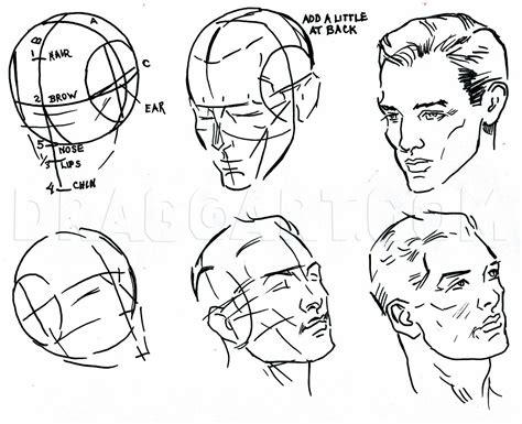 How To Draw Facial Features Features Of The Face Step By Step Drawing Guide By Catlucker