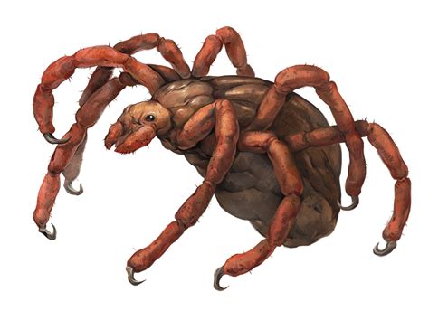 official lore the compendium for giant arachnids vol 1 rpguilds forums