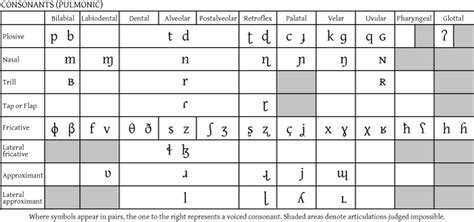 English Consonants In Ipa International Phonetic Alphabet Phonetic Porn Sex Picture