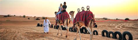 Desert Safari Dubai Camel Rides Hot Air Balloons And Sand Dune Surfing