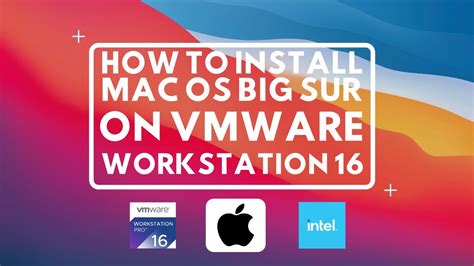 How To Install Macos Big Sur On Vmware Workstation My Xxx Hot Girl