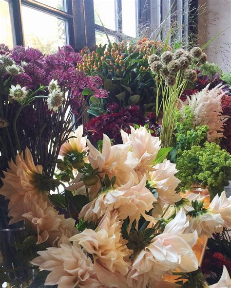 Rona Wheeldon On Instagram “such A Stunning Selection Of Flowers From