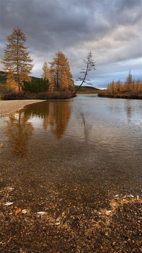 Wallpaper Kolyma River Trees Autumn Clouds 2560x1600 Hd Picture Image