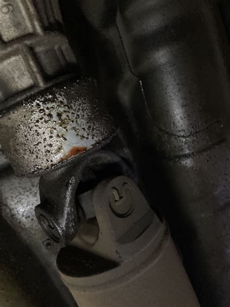 Is Something Leaking Toyota Tundra Forums