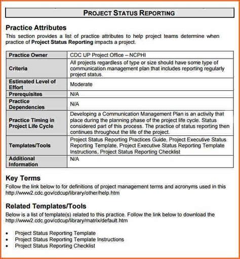 Sample Of A Project Report Format The Document Template
