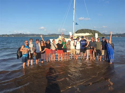 Barefoot Sailing Adventures Paihia 2020 Qué Saber Antes De Ir Lo