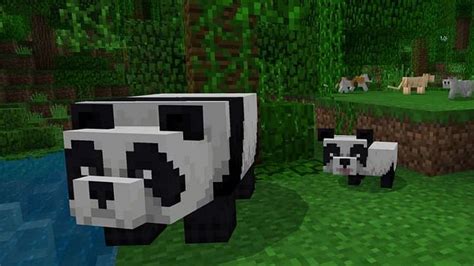 Minecraft Pandas Personality And Appearance Everything You Need To Know