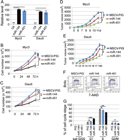 transduction of mir 451 and mir 144 suppresses the growth of download scientific diagram