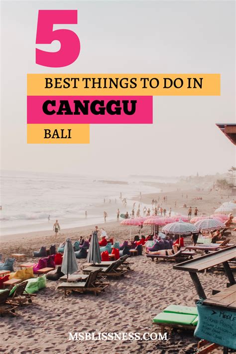 5 Best Things To Do In Canggu Bali Bali Travel Guide Indonesia Travel Asia Travel