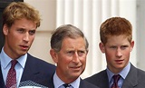 The Palace Denies That Prince Charles Doesn't Get Along With His Sons ...