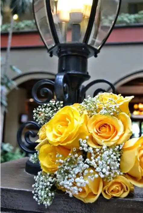 Zoya 🖤🦋 ️ On Twitter Flower Bouquet Wedding Rose Wedding Bouquet