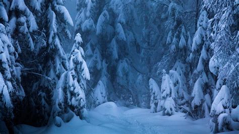 Nordic Winter Wallpapers Top Free Nordic Winter Backgrounds