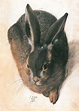 Hare - Albrecht Durer - WikiArt.org - encyclopedia of visual arts