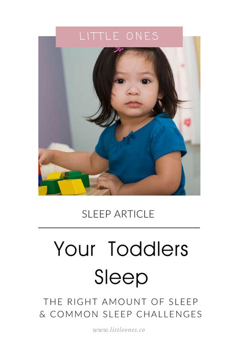 Just Like Babies Toddlers Still Need A Decent Amount Of Sleep In A 24