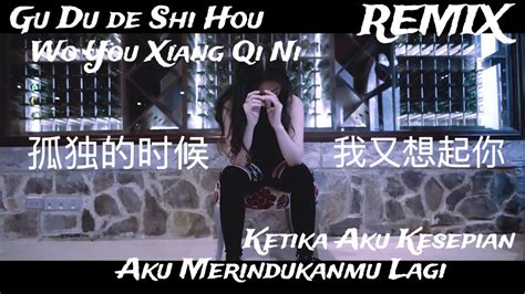 Dj Remix Gu Du De Shi Hou Wo You Xiang Qi Ni《孤独的时候我又想起你》 Lagu Mandarin