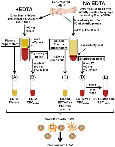 Fractionation Of Blood From Hiv 1 Infected Patients For Obtaining