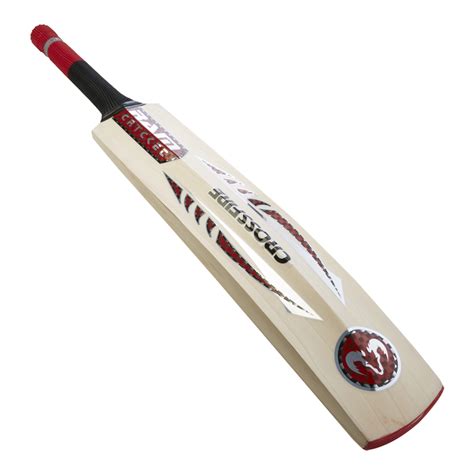 Cricket Bat Png Transparent Image Download Size 900x900px