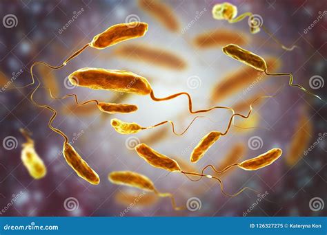 Vibrio Cholerae Bacteria Royalty Free Cartoon