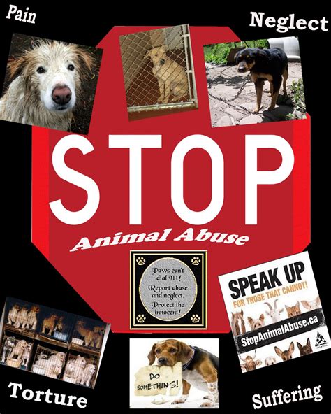 Fighting Animal Abuse Poster 3