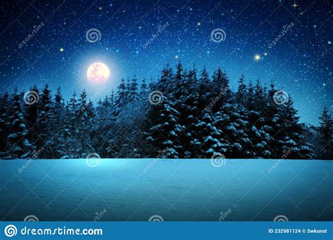Winter Forest And Full Moon On Night Abstract Sky Stock Photo Image