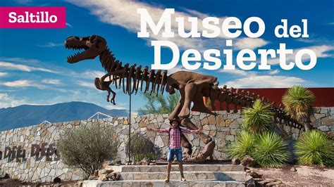 Sintético 157 Dinosaurios De Coahuila Nombres Musarmx