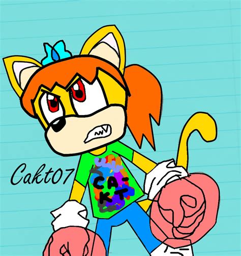 Cakt The Hedgecat Angry By Cakt07 On Deviantart