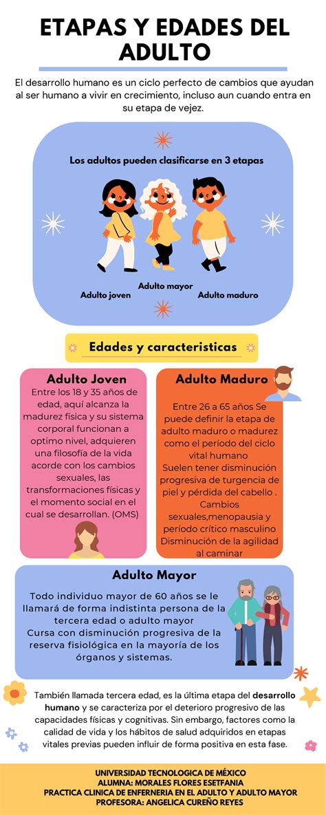 Etapas Y Edades Del Adulto Infografia También Llamada Tercera Edad