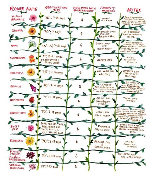 Artist And Contributor Phoebe Wahl Created This Guide To Creating A