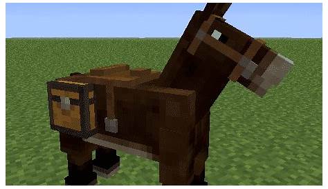 Mules In Minecraft