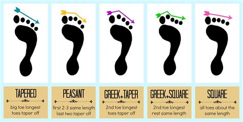 Learning Your Foot Type For The Best Pointe Fit