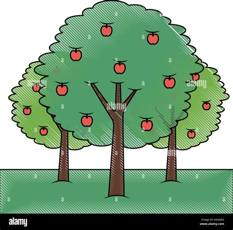 three apple trees bush foliage fruit natural stock vector image and art alamy