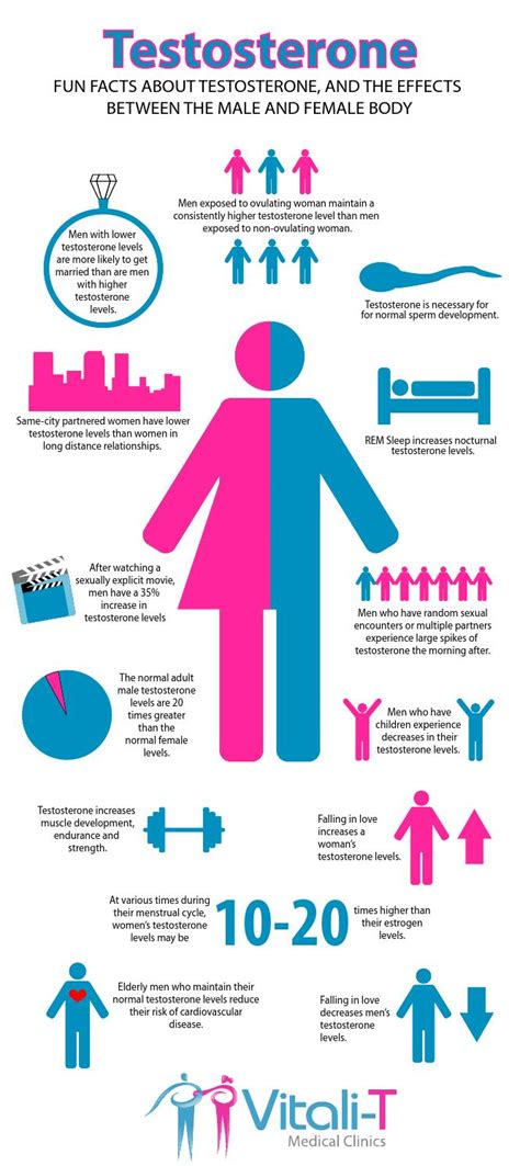 Testosterone Infographic By Denver Hormone Experts Issuu