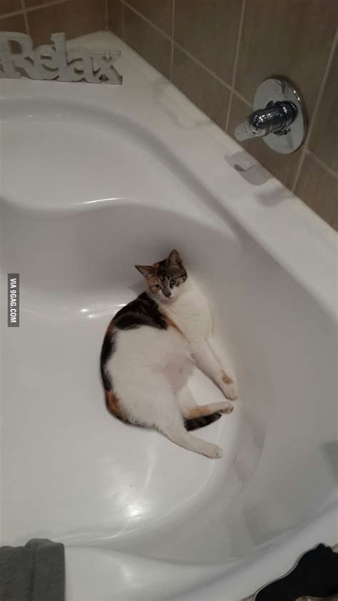 Just Chilling In The Bath While You Get Ready 9gag