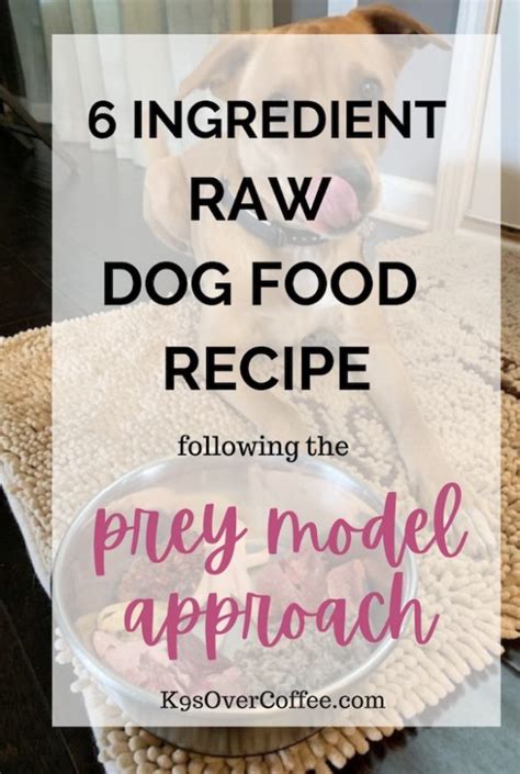 Homemade Raw Dog Food K9sovercoffee Raw Dog Food