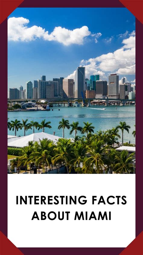 30 Interesting Facts About Miami Isolated Traveller