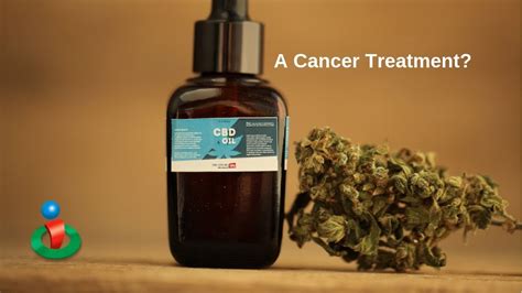 Cannabis And Cancer Treatment Youtube