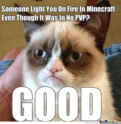 This 300 dpi file comes in jpg format. Grumpy Cat: Minecraft by recyclebin - Meme Center