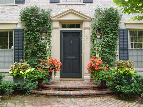 Repotting, potting mixes, and pots by brad thompson. orange begonias in pots | Climbing hydrangea, Front yard ...