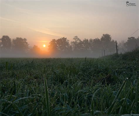 Morning Dew 500px Morning Dew Morning Light Visual