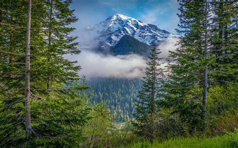 Download Wallpapers Mount Rainier Morning Mountain Landscape Cascade