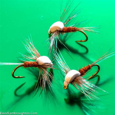 78 Best Images About Dry Flies For Trout On Pinterest Parachutes