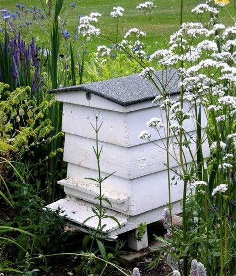 Bee Hive Backyard Beehive Bee Keeping Bee Garden