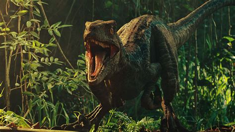 Dinosaur Jurassic Park Wallpaper K Free Videos Of Jurassic Park