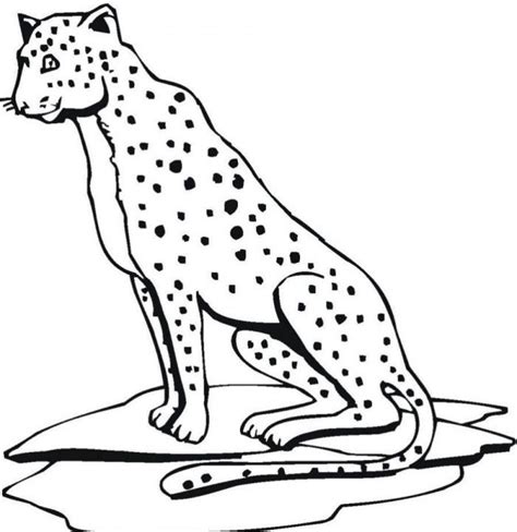 Jaguar Coloring Pages For Kids Coloring Home