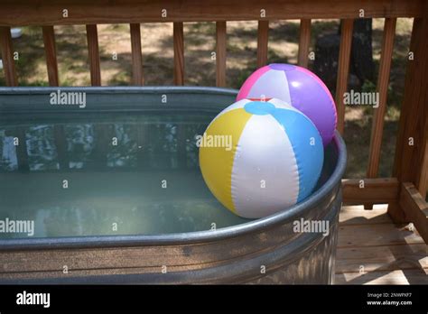 two inflated beach balls floating in a stock tank pool a nice place to cool off on a hot summer