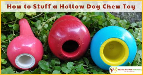 Learn how to stuff a kong. Dog Training Tips: Stuffing a Hollow Dog Chew Toy ...