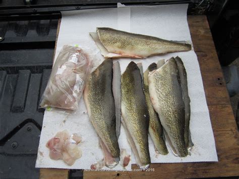 Maybe you would like to learn more about one of these? Moses Lake Report, Grant County, WA - NWFR