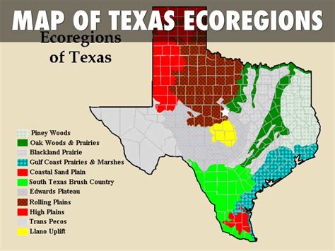 10 Ecoregions Of Texas