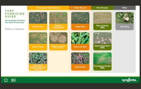 Interactive Turf Disease Fungicide Guide Syngenta Turf Landscape