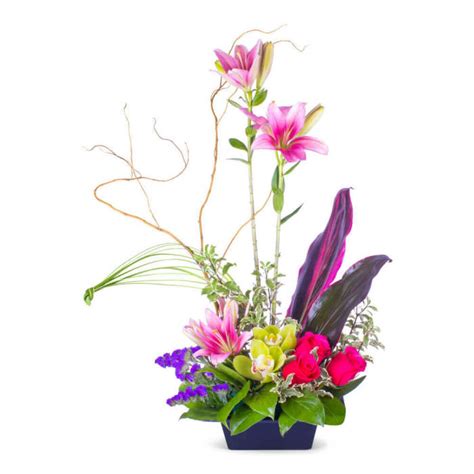 Pink Lily And Cymbidium Orchids Zen Garden Flower Delivery Middletown De Elana S Broad Street